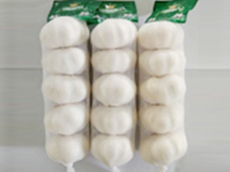 Conservando ajo fresco 5P