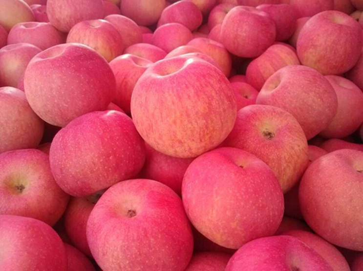 Manzana roja fuji