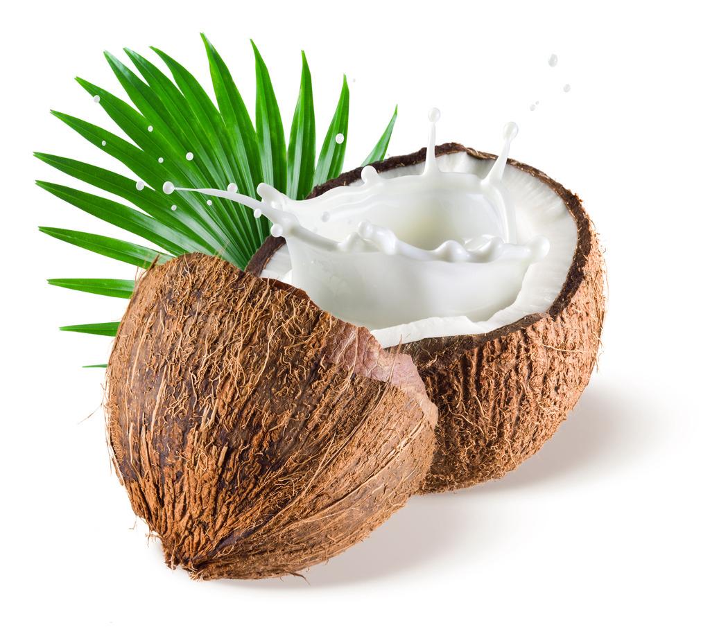 Coconut