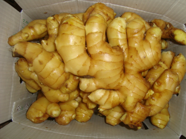 Fresh ginger